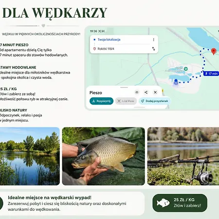 Dom wakacyjny Prywatne Jacuzzi, Grill, Kajak Rokitki (Legnica)